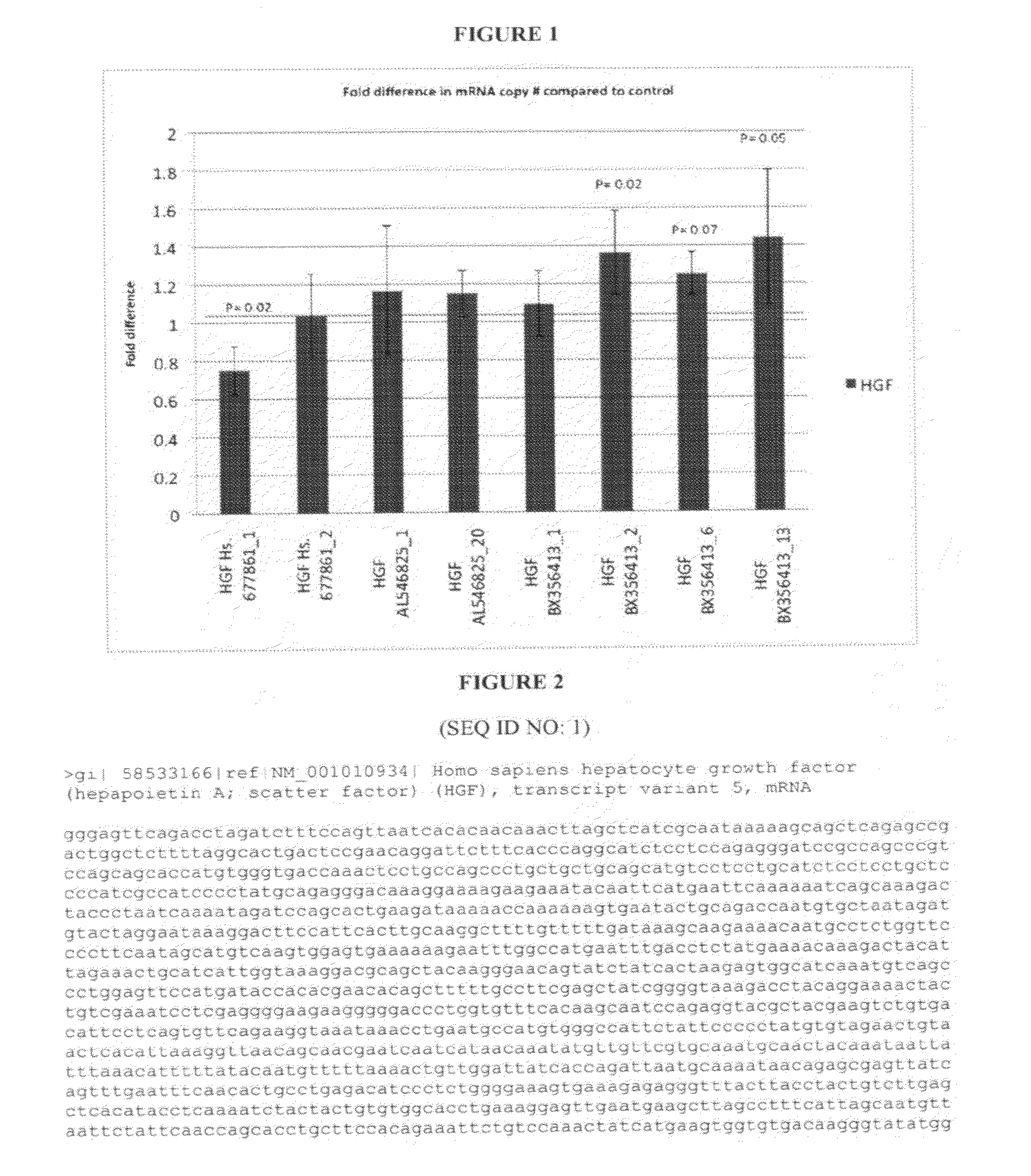 Treatment of hepatocyte growth factor (HGF) related diseases by inhibition of natural antisense transcript to hgf