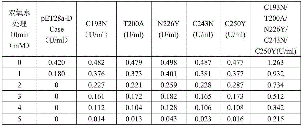 N-carbamoyl-D-p-hydroxyphenylglycine hydrolase mutants and construction of engineering bacteria thereof