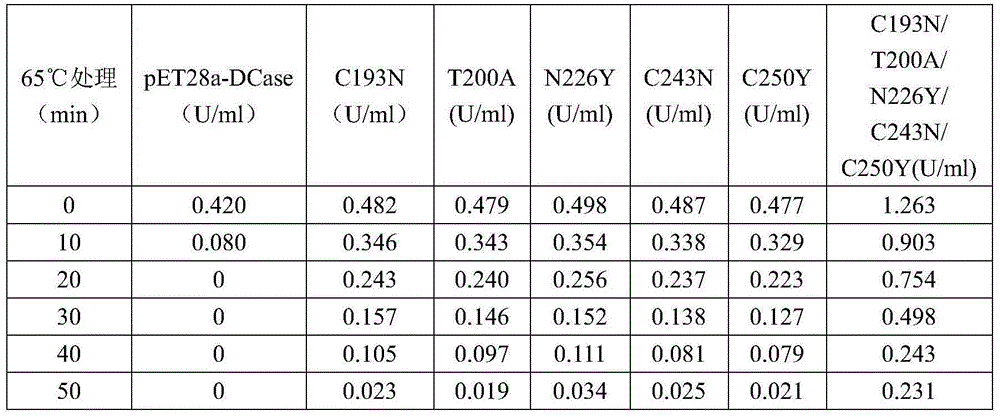 N-carbamoyl-D-p-hydroxyphenylglycine hydrolase mutants and construction of engineering bacteria thereof