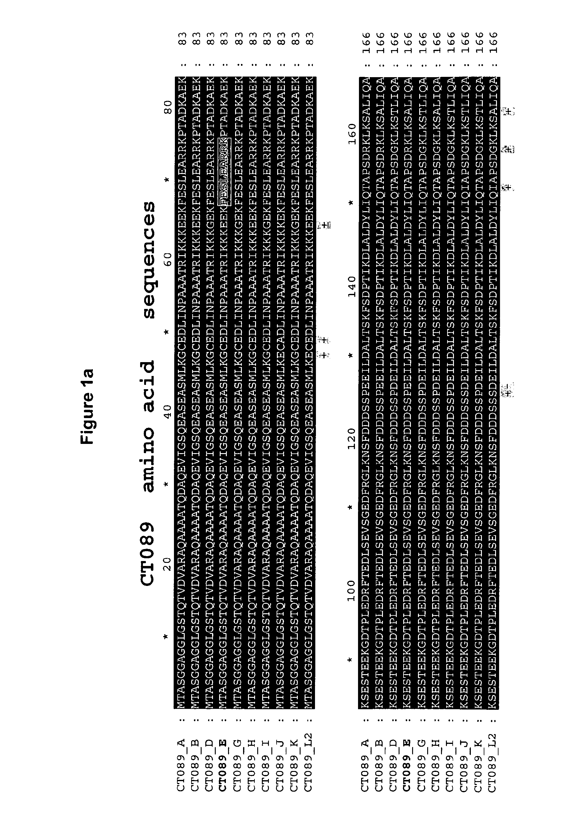 Vaccines Against Chlamydial Infection