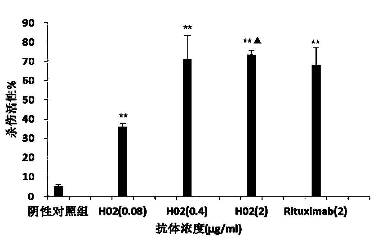 Anti-CD20 monoclonal antibody, preparation method and application thereof