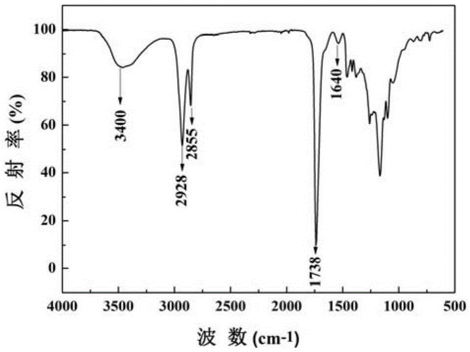 Biodegradable photocurable medical adhesive and preparation and application thereof