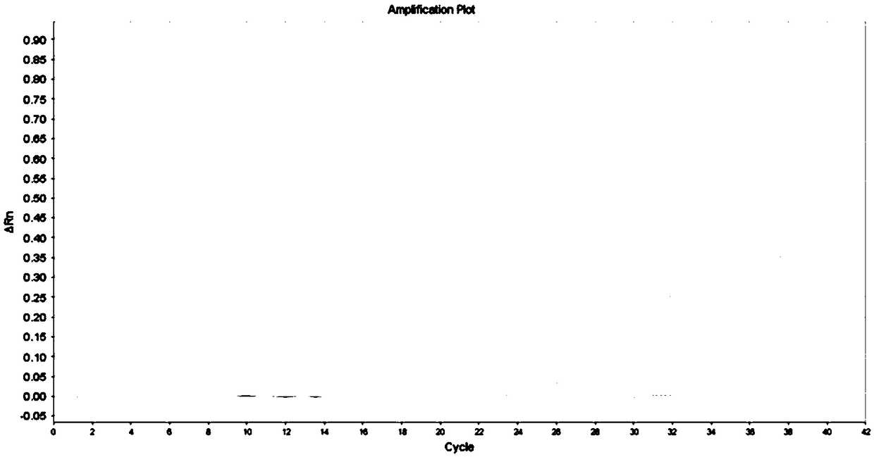 LRSAM1 gene SNP mutation site genotyping primer and application thereof in predication of coronary heart disease