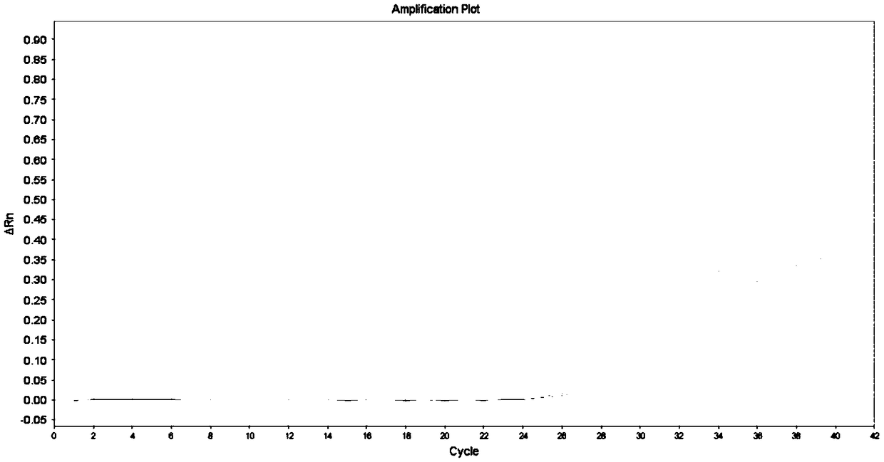 LRSAM1 gene SNP mutation site genotyping primer and application thereof in predication of coronary heart disease