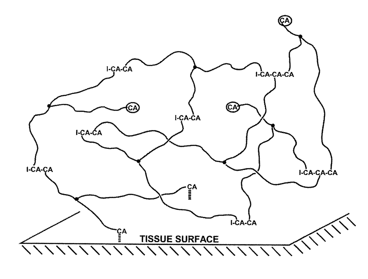 Method for the production of poly(2-octyl cyanoacrylate)-polyisobutylene co-network, and super initiators therefor