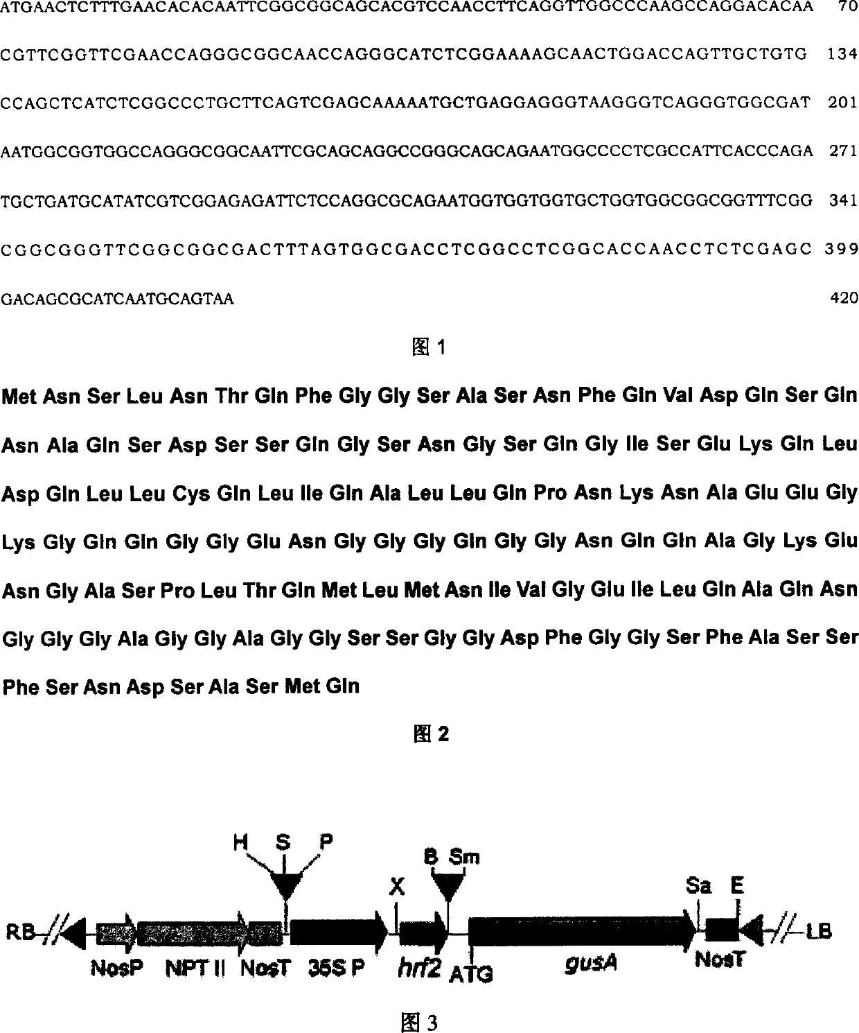 Rice flavamonocell hrf2 gene, recombinant vector and method for transgenic breeding plant therefor