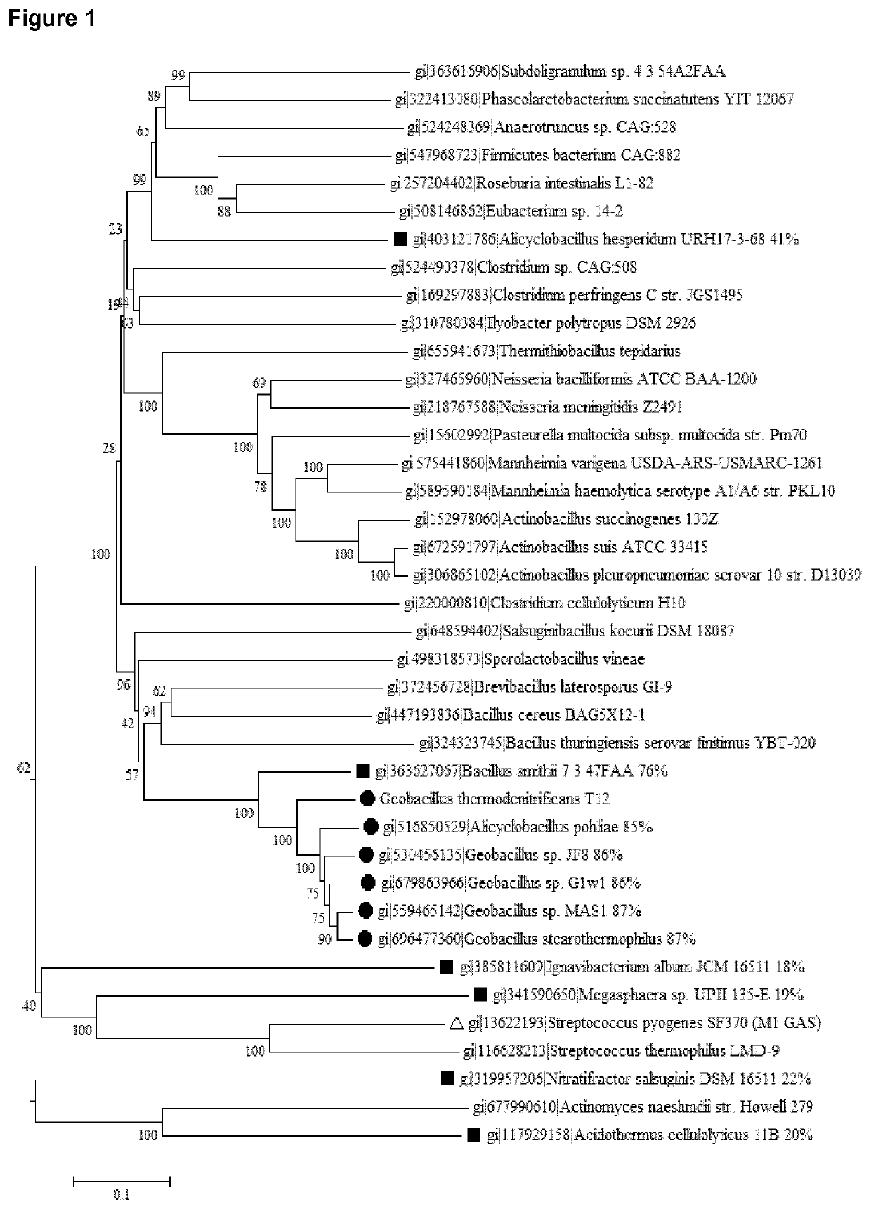 Thermostable cas9 nucleases