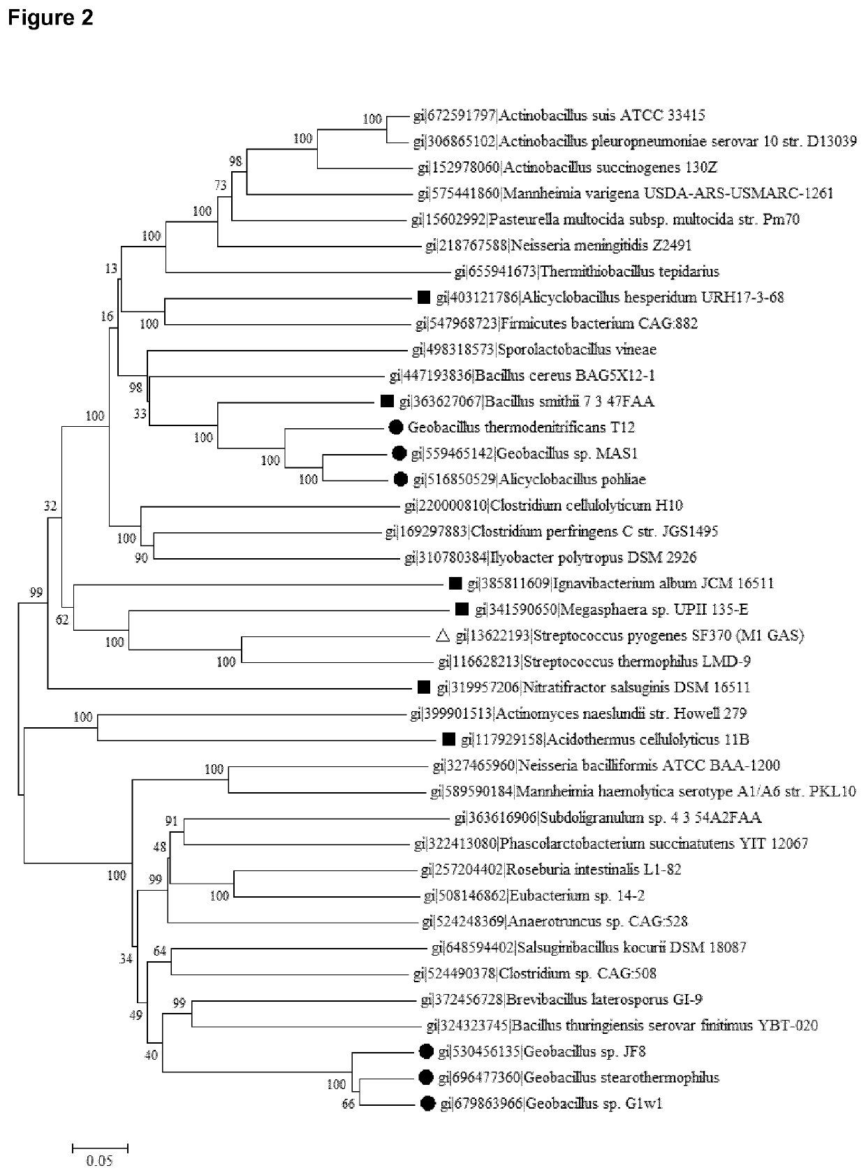 Thermostable cas9 nucleases