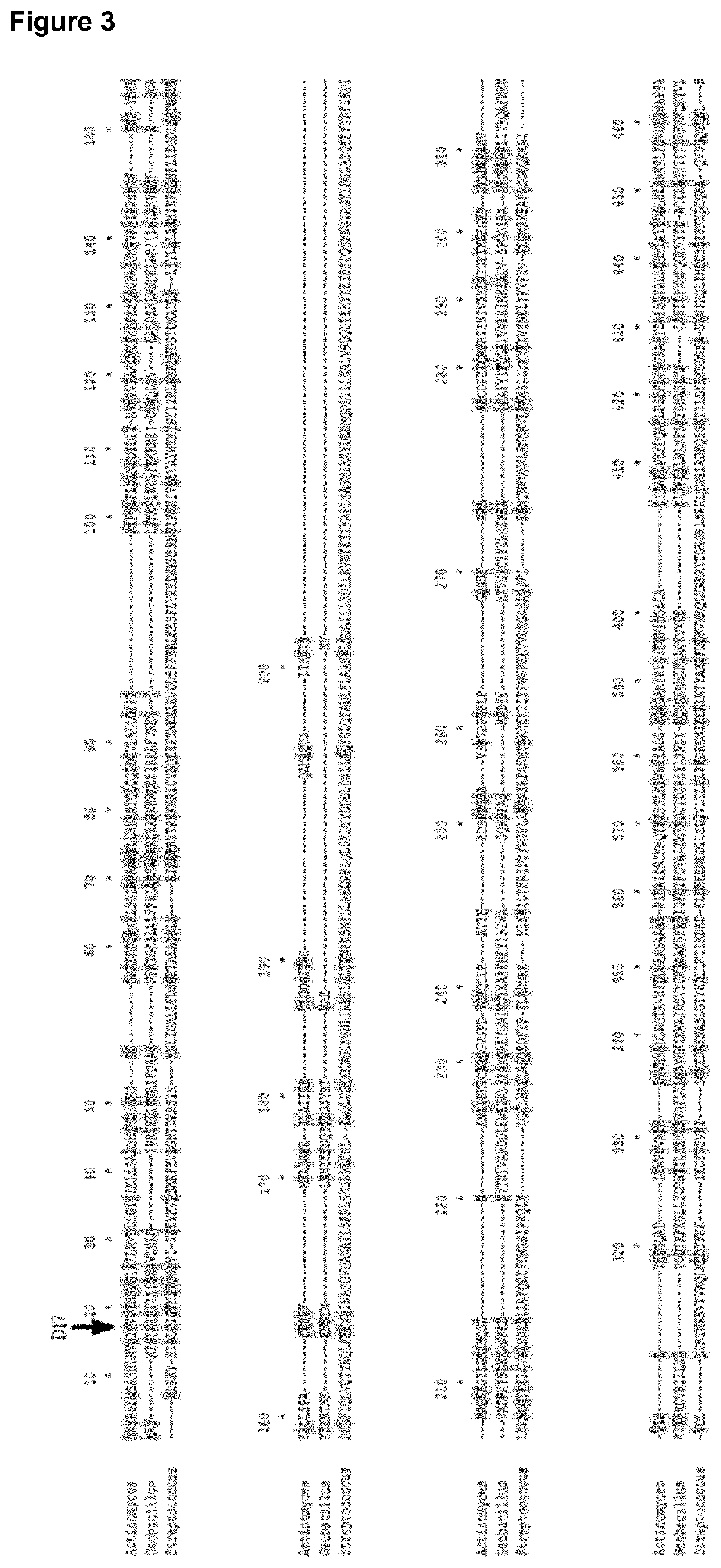 Thermostable cas9 nucleases