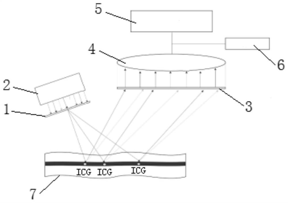 Burn wound tissue activity evaluation system based on fluorescence development image