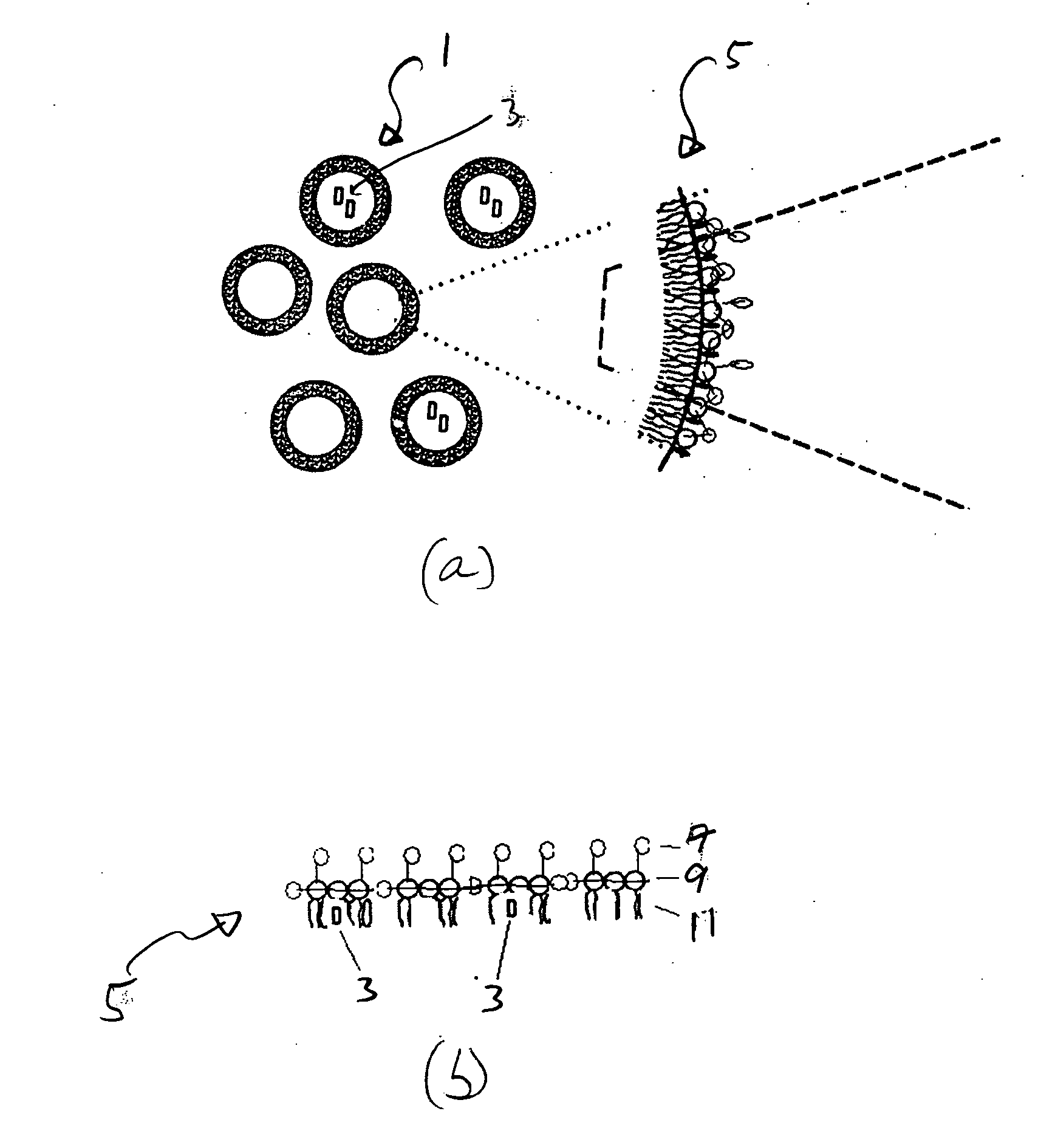 Compositions and methods for hydrophobic drug delivery