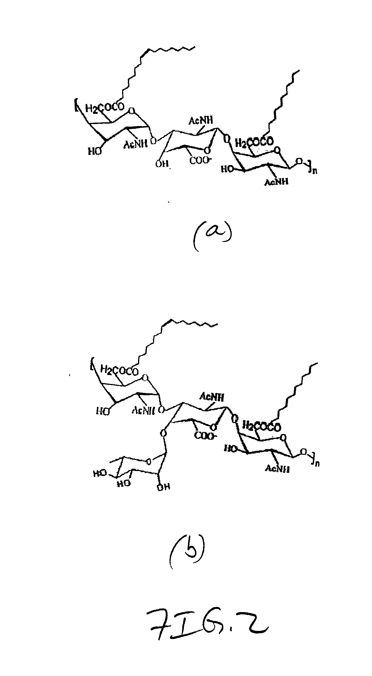 Compositions and methods for hydrophobic drug delivery