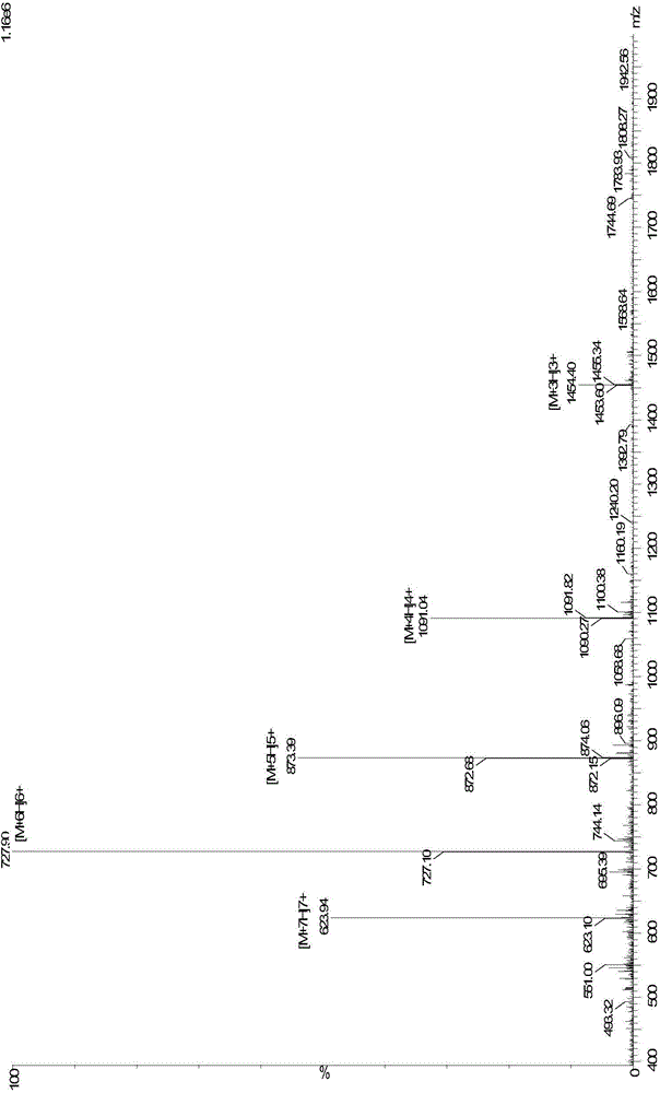 Small peptide having tumor targeting and cell penetrating properties and application of small peptide