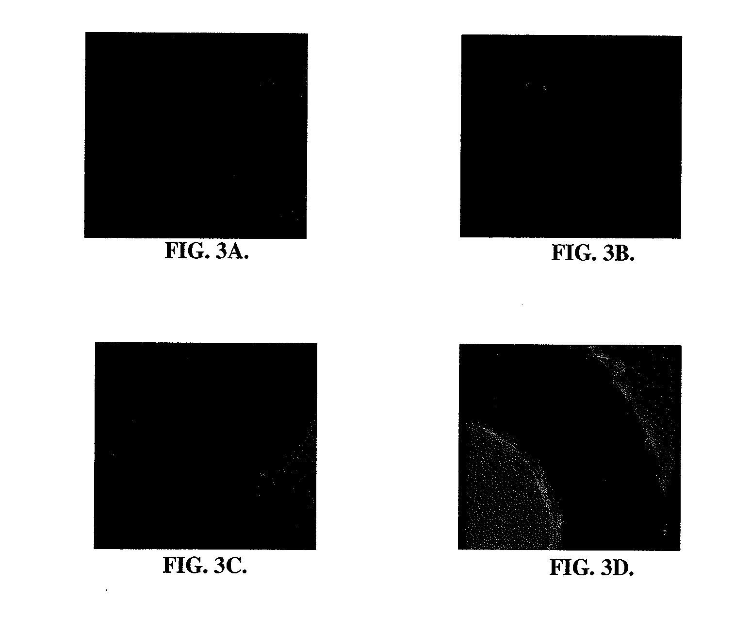 Coating stents with cyclic rgd peptides or mimetics