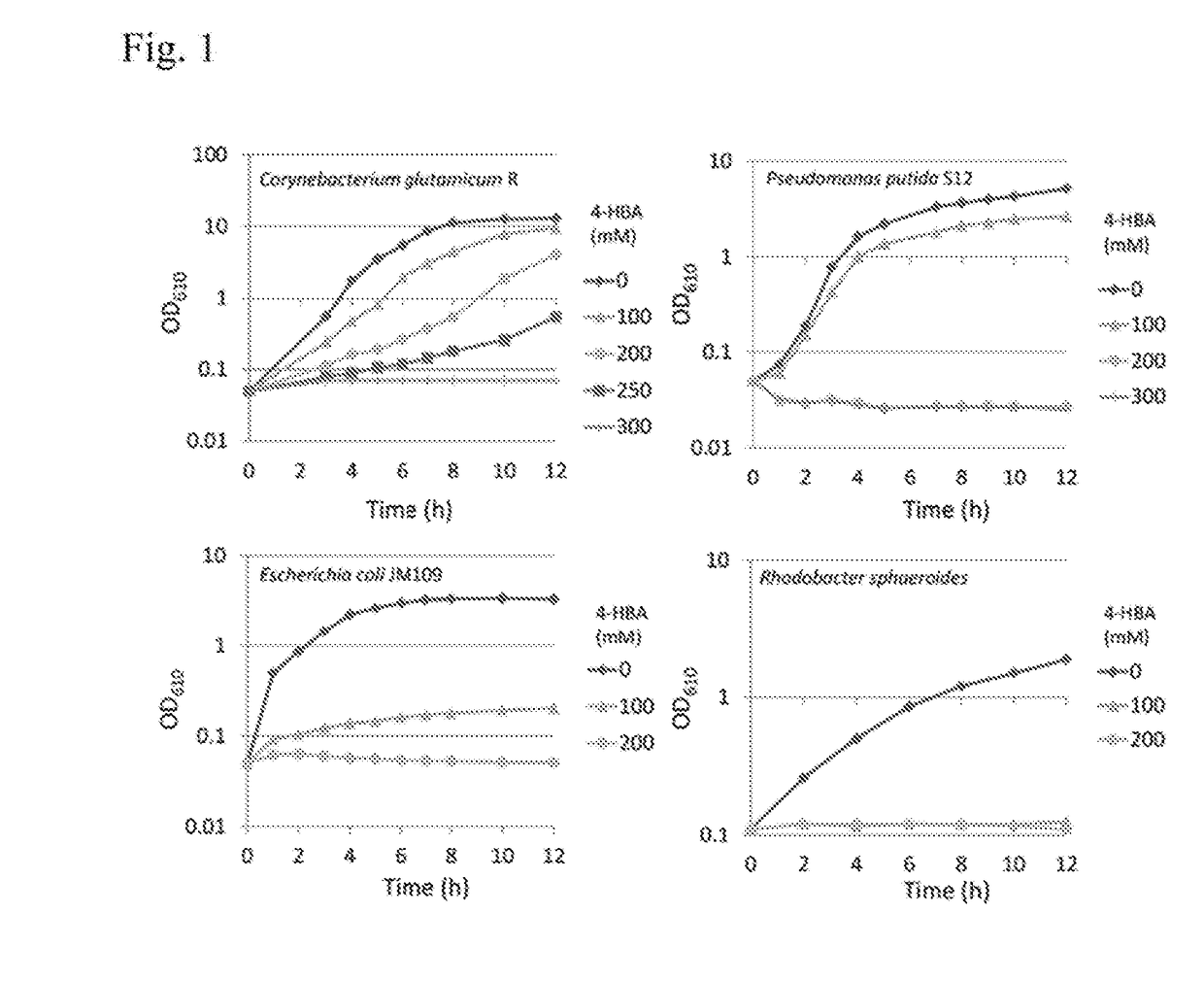 Coryneform bacterium transformant having highly active mutant enzyme highly expressed therein, and process for producing 4-hydroxybenzoic acid or salt thereof using the same