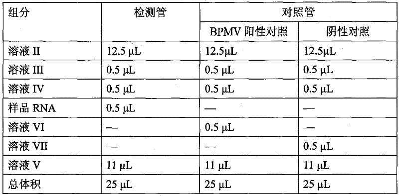 Fluorescence quantitative RT-PCR detecting agent for bean pod mottle virus, preparation method and application thereof