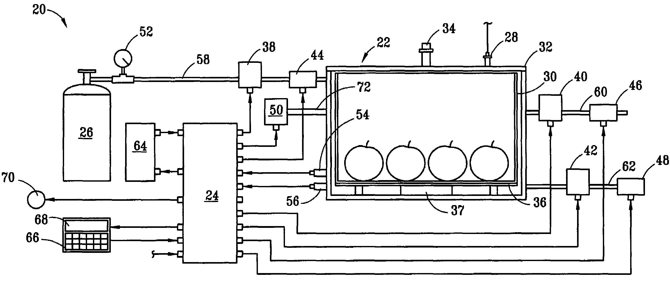 Carbonation system for enhancing the flavor of fruits and vegetables