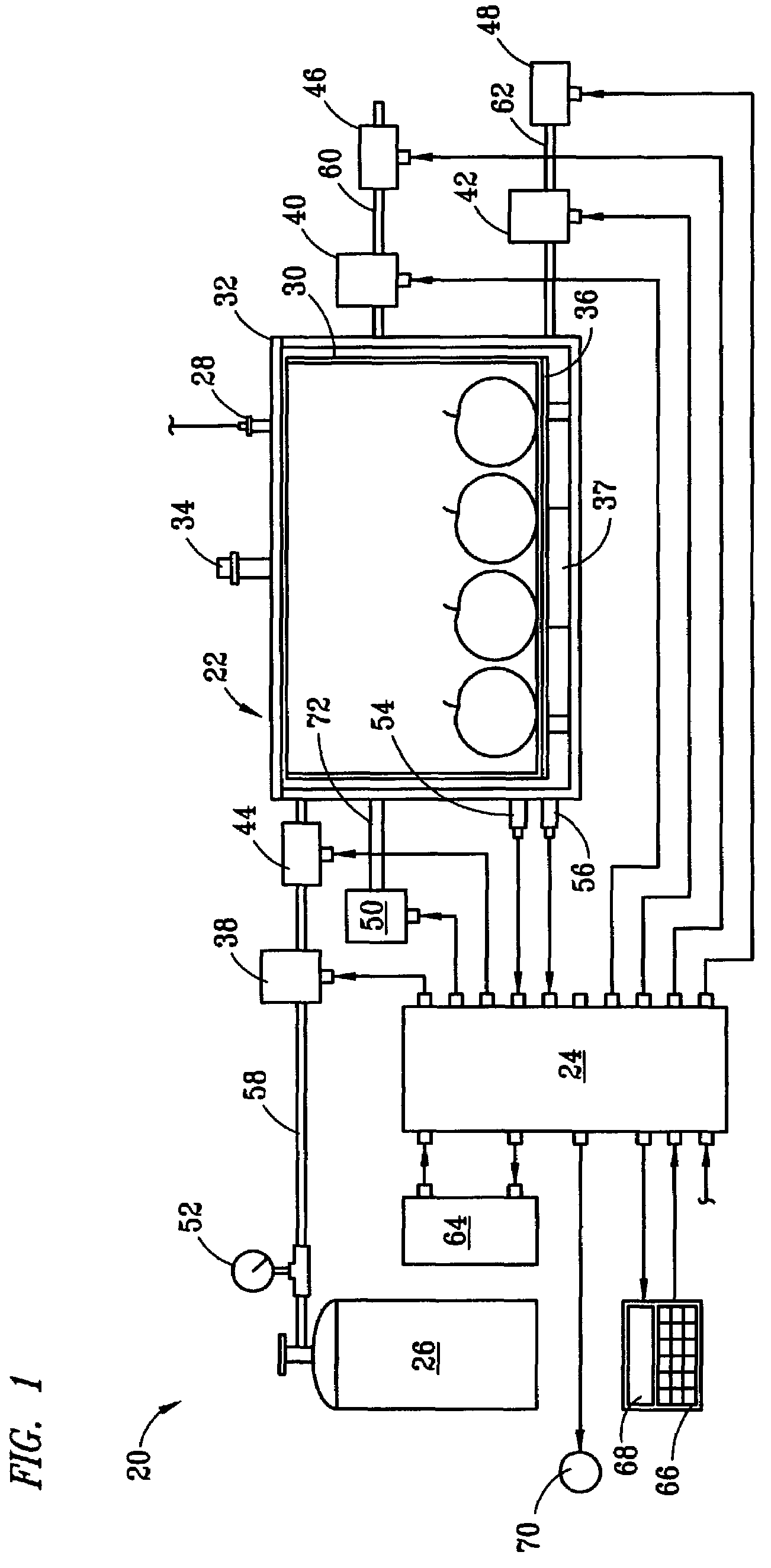 Carbonation system for enhancing the flavor of fruits and vegetables