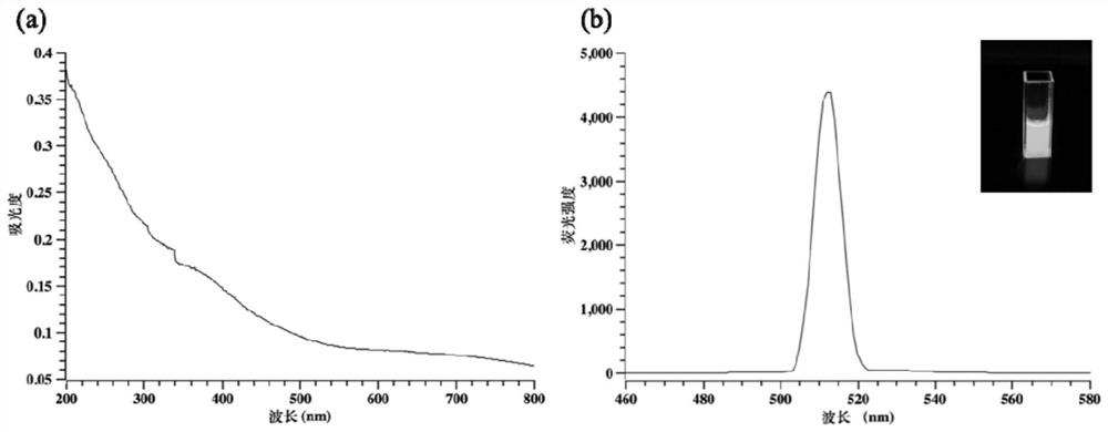 Detection test strip based on quantum dot labeling as well as preparation method and application thereof