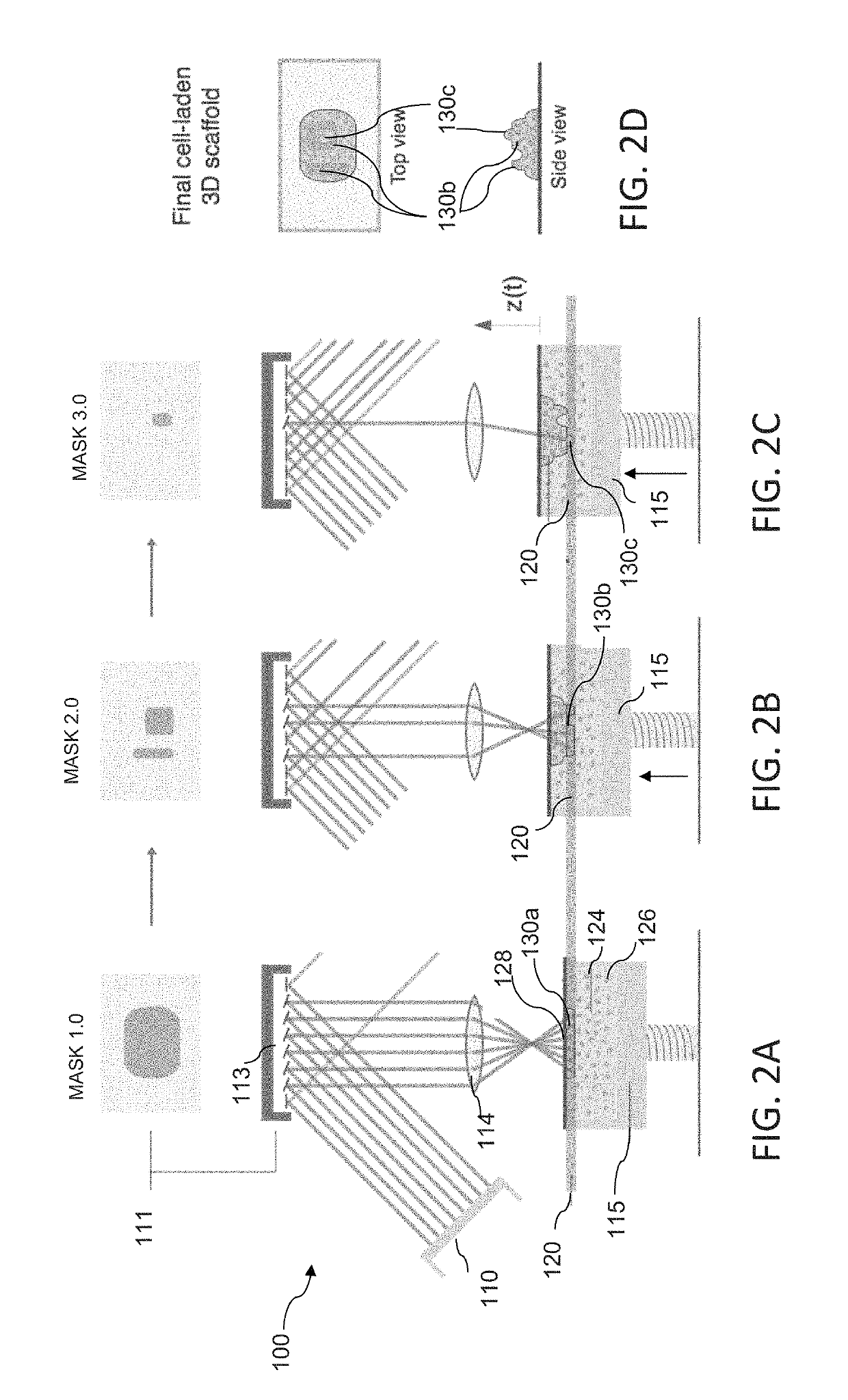 Layerless bioprinting via dynamic optical projection and uses thereof