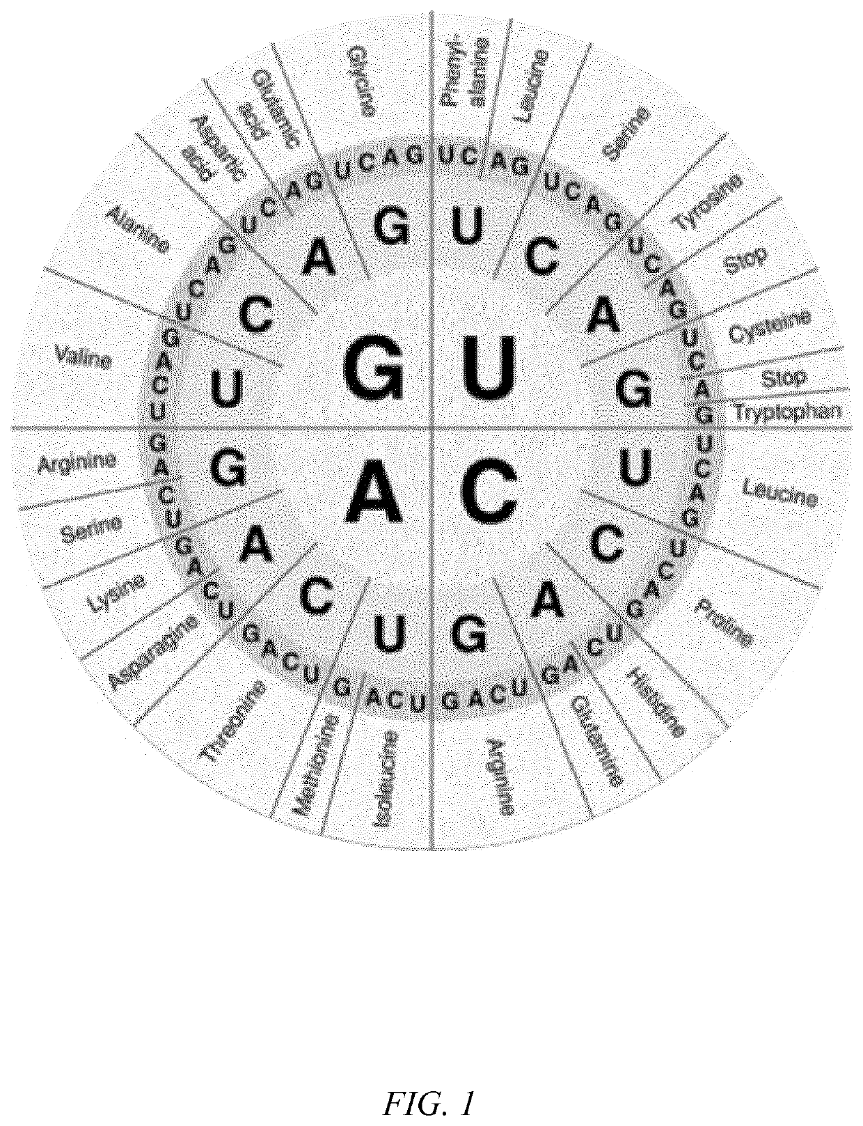 Sequence variants