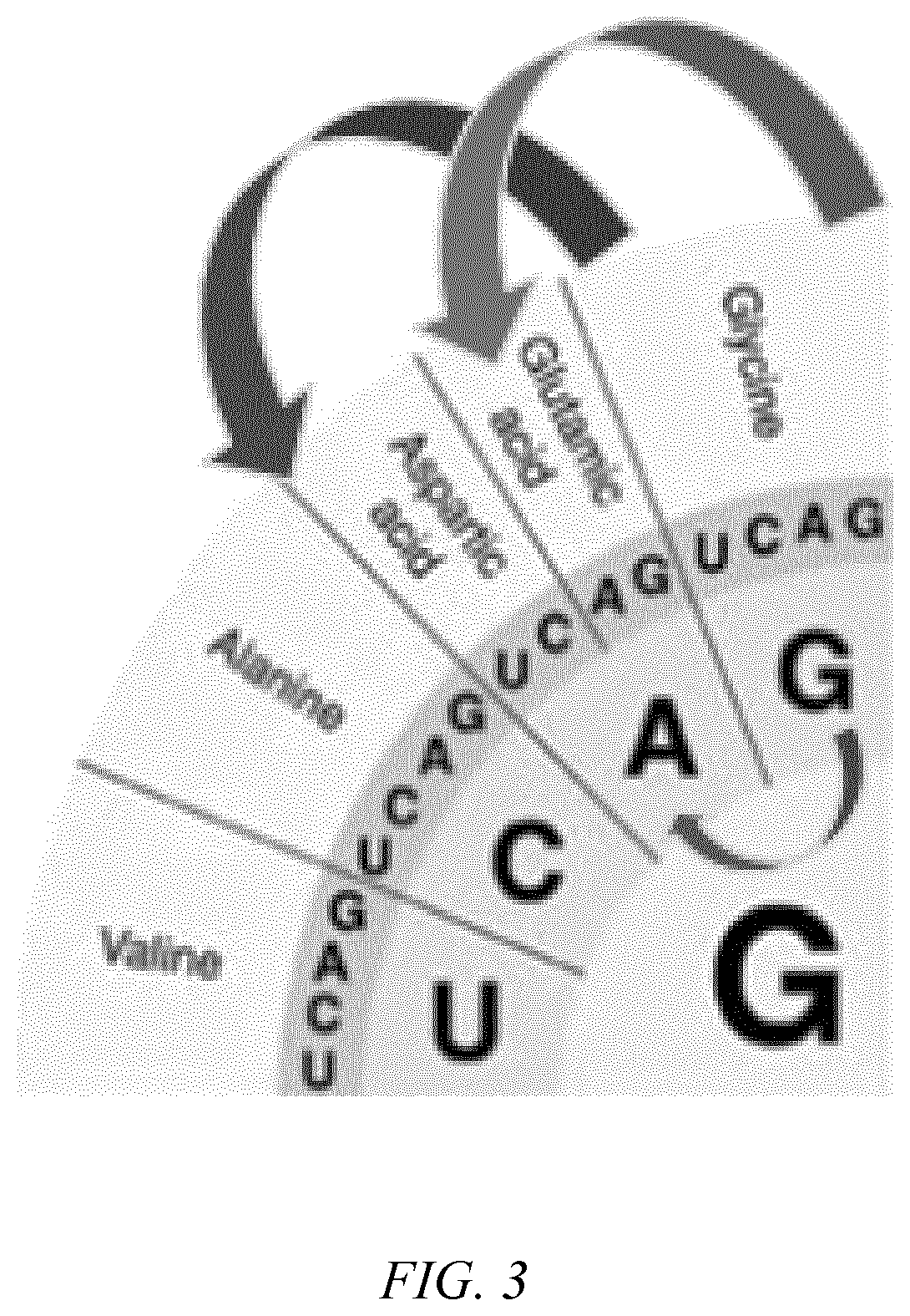 Sequence variants