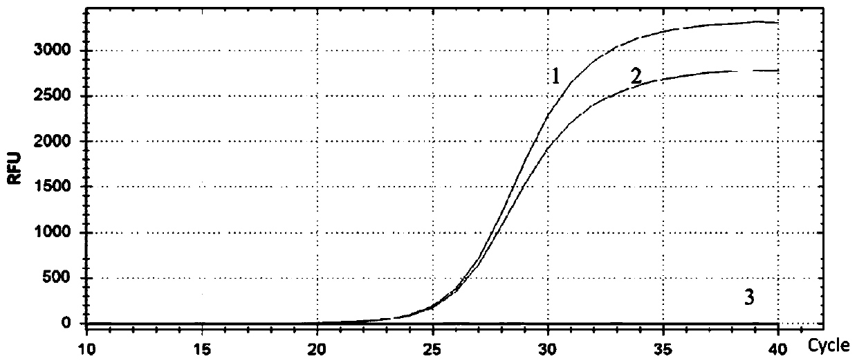 Human plasma RASSF1A gene methylation detection kit and method