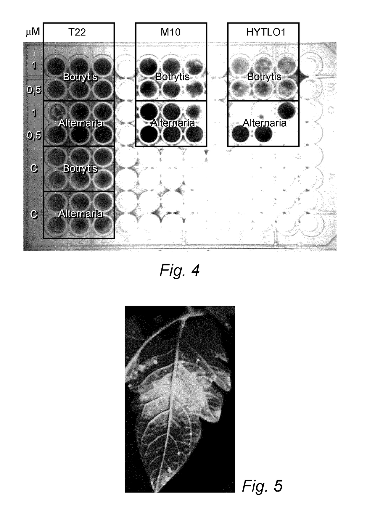 Bioactive Protein, Use Thereof and Method for its Production