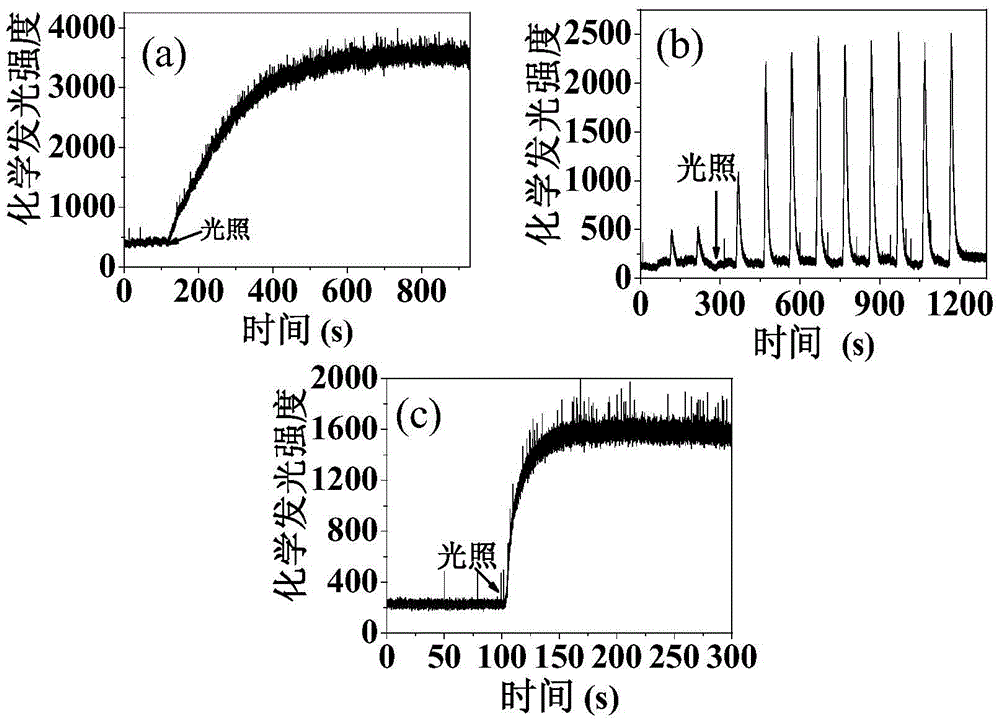 Real-time dynamic detection system for superoxide radicals produced by photocatalytic reaction