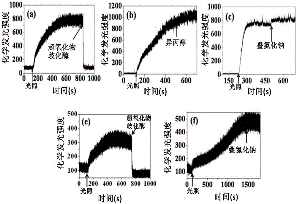 Real-time dynamic detection system for superoxide radicals produced by photocatalytic reaction