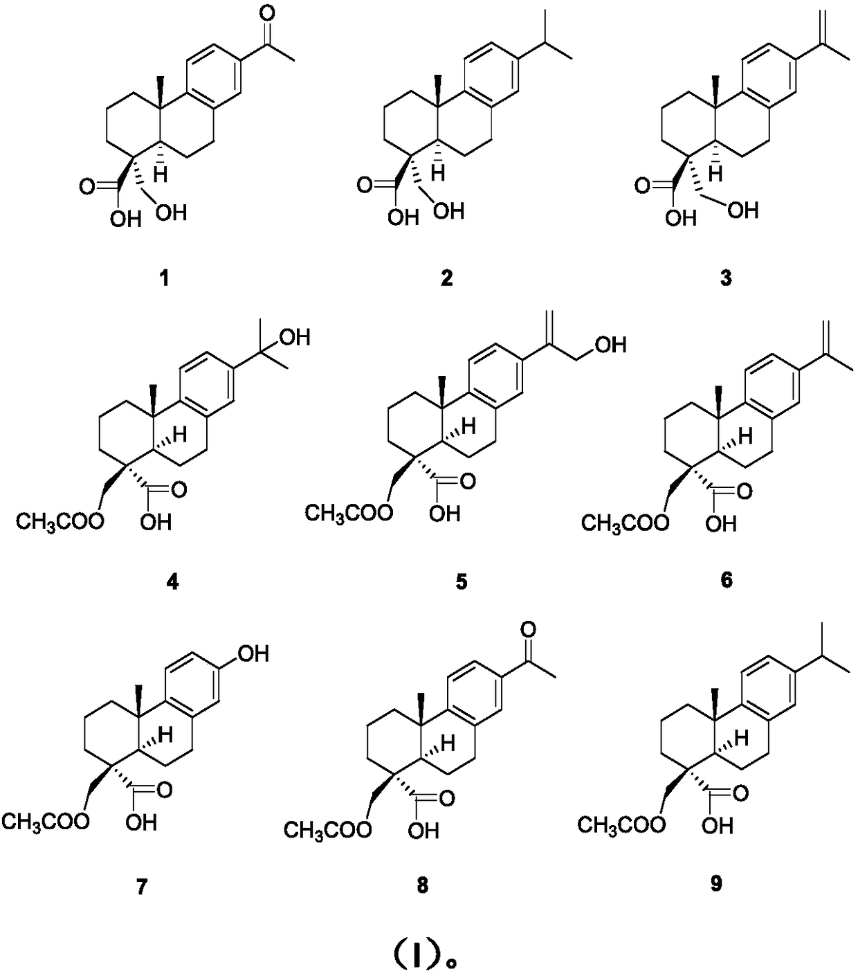 Abietane type diterpene derivative as well as medicine composition and purpose thereof