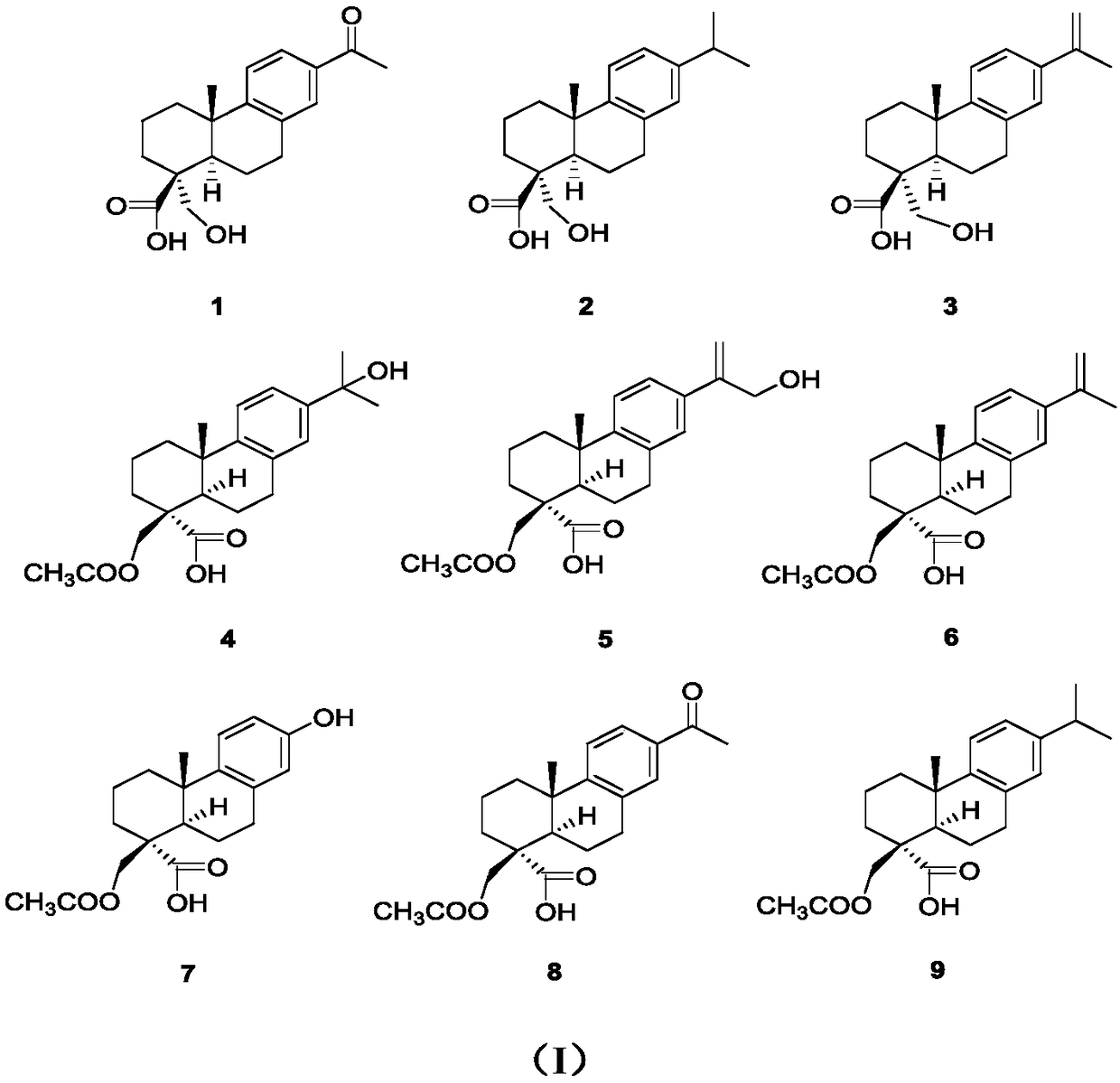 Abietane type diterpene derivative as well as medicine composition and purpose thereof