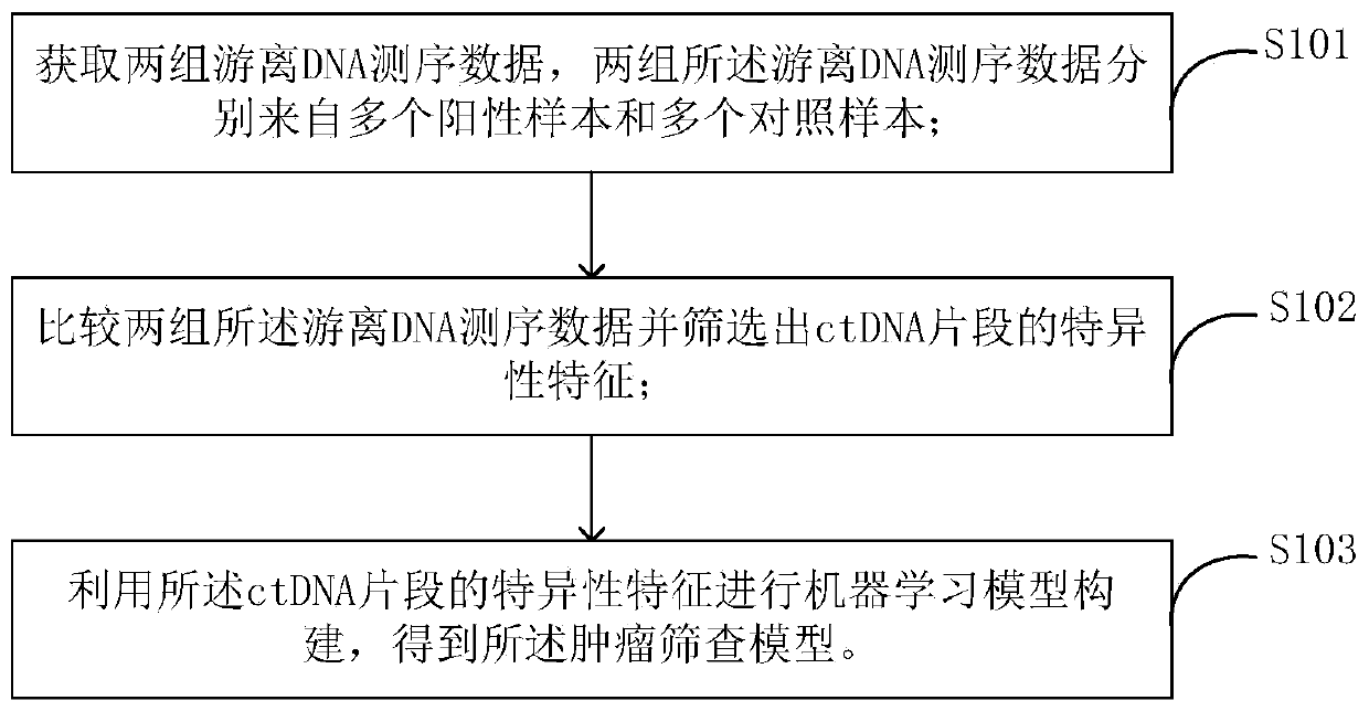 Tumor screening model and construction method and device thereof