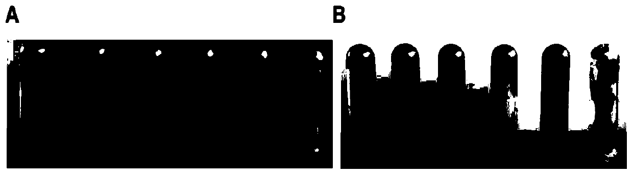 In situ gel-forming pharmaceutical compositions and uses thereof for sinus diseases