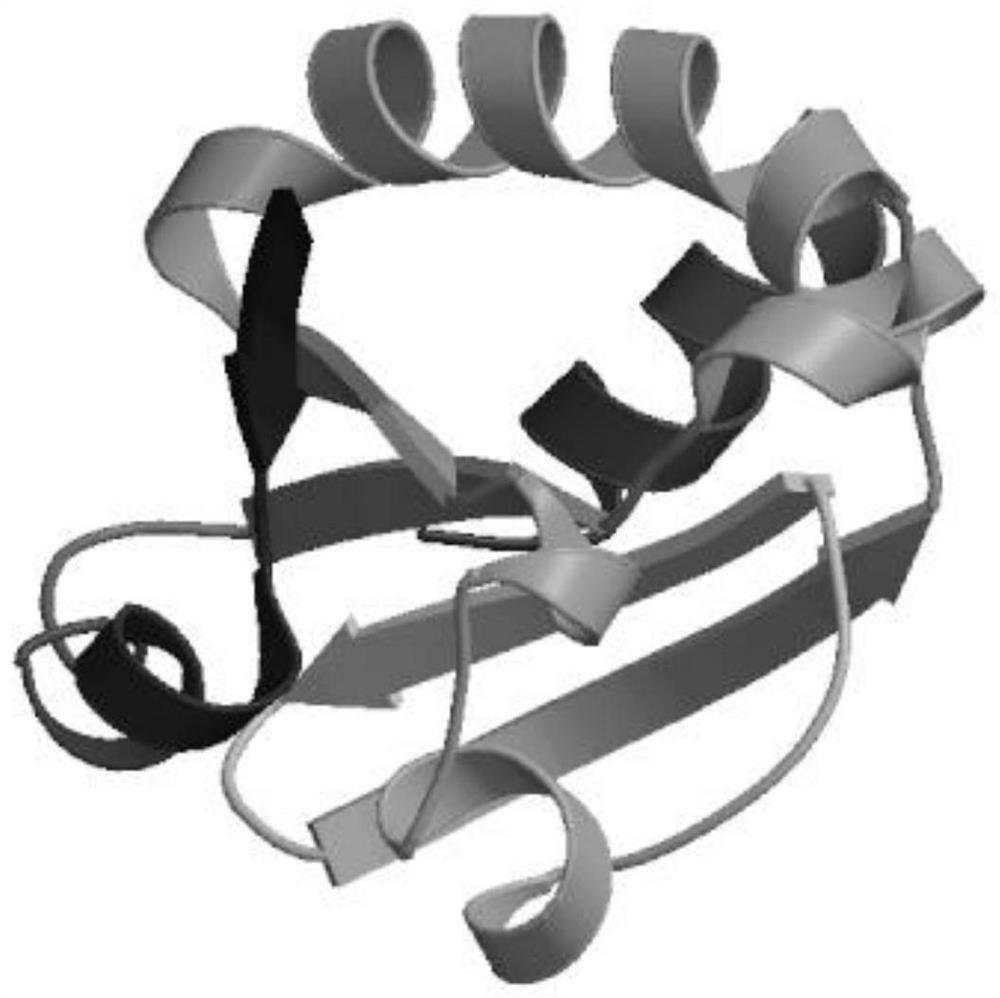 A kind of Escherichia coli fusion expression plectasin, its preparation method and application