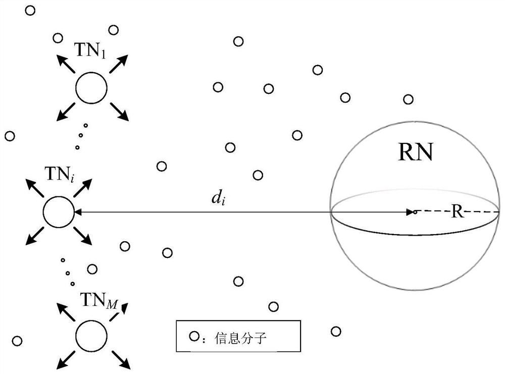 A Channel Capacity Optimization Method Based on Diffusion-Based Multi-user Molecular Communication Model