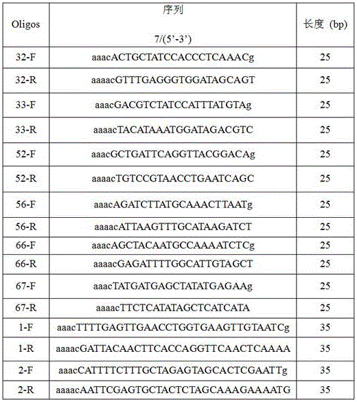 Method for eliminating mecA plasmids based on CRISPR/Cas9 technology