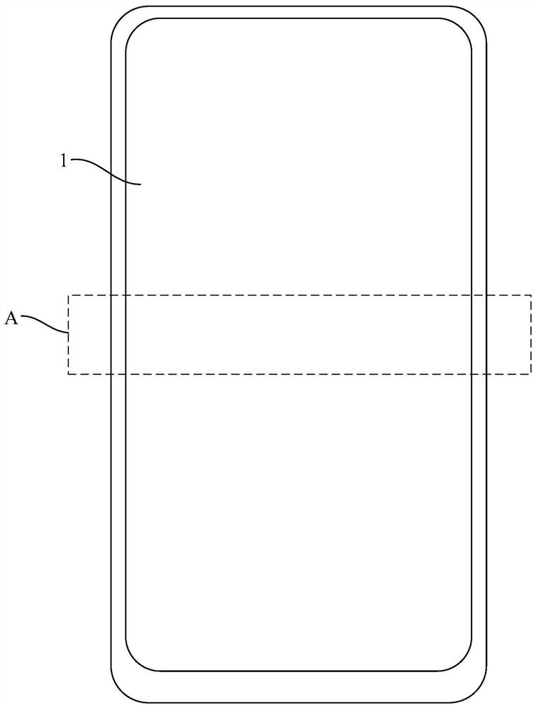 Organic light emitting display panel and display device