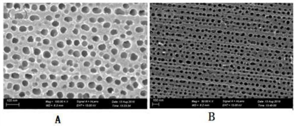 Two-dimensional catalytic material and preparation and application thereof