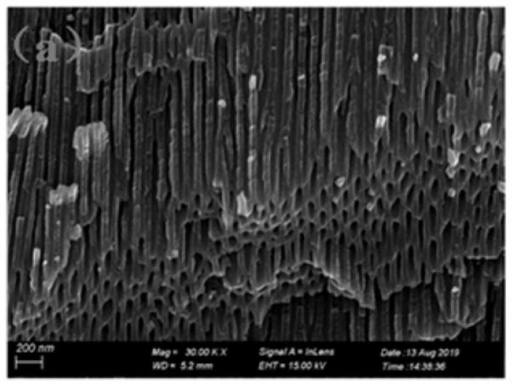 Two-dimensional catalytic material and preparation and application thereof