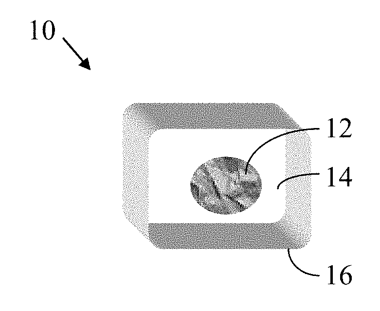 Chewing gum including nanozome encapsulated cannabidiol