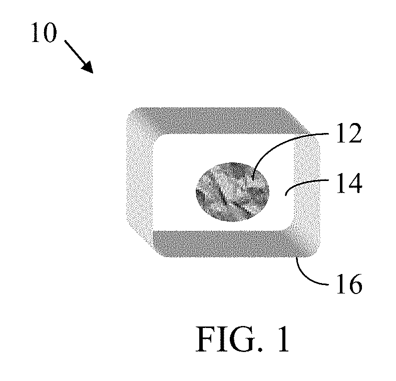 Chewing gum including nanozome encapsulated cannabidiol