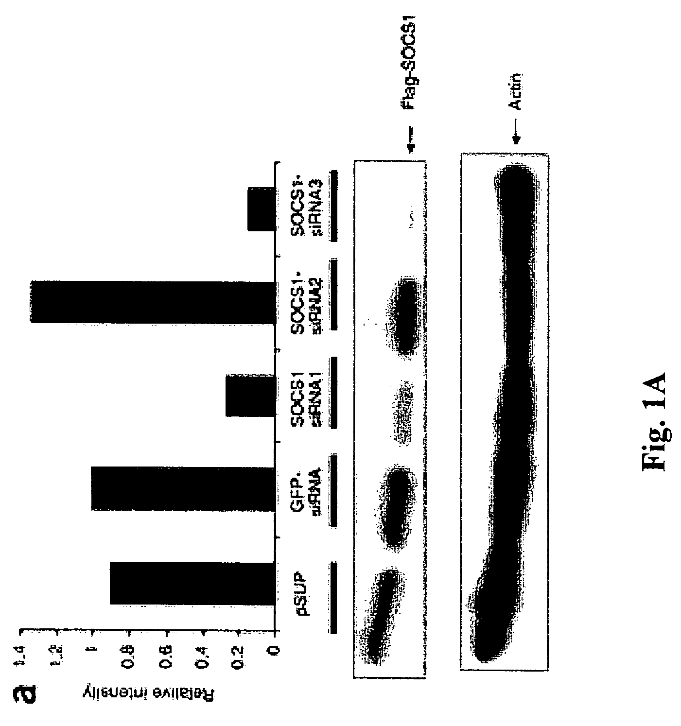 Modulation of cytokine signaling regulators and applications for immunotherapy