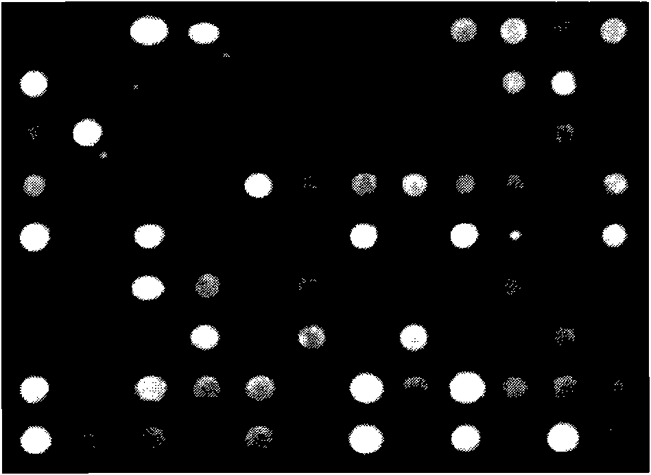 Particle swarm optimization-based gene chip image segmenting method of K-means clustering algorithm