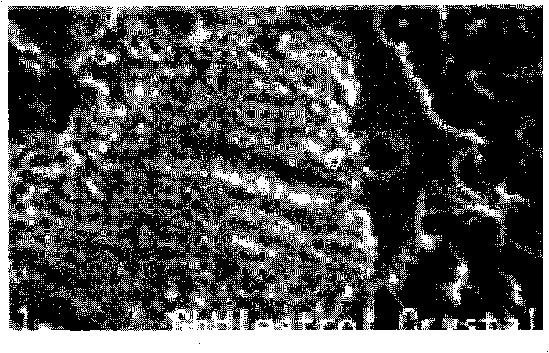 Oral liquid of Wuqingtongti and preparation thereof