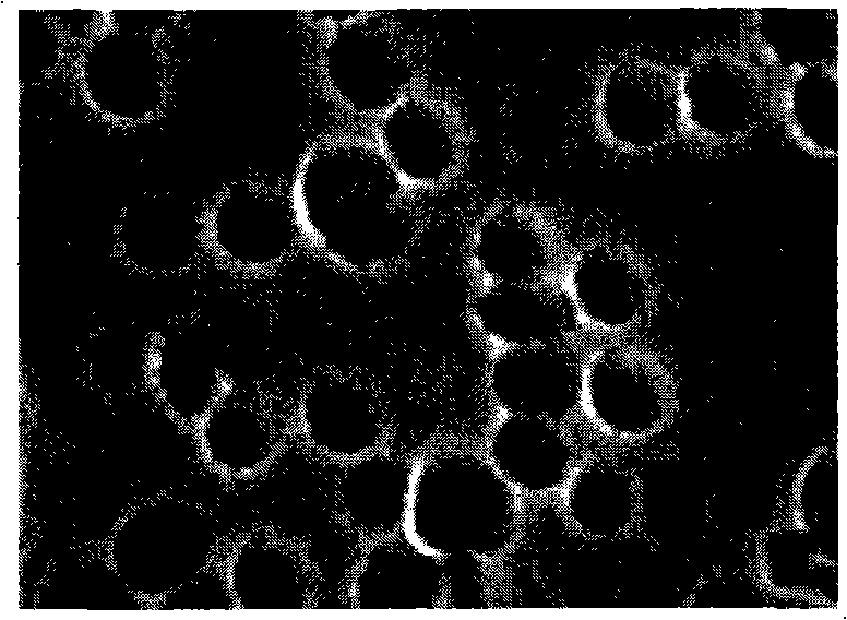 Oral liquid of Wuqingtongti and preparation thereof