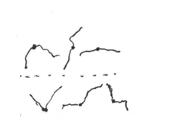 Single chromosome producing method through micro cutting plant chromosomes