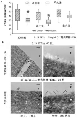 Dentin collagen fiber demineralization material and preparation method and application thereof