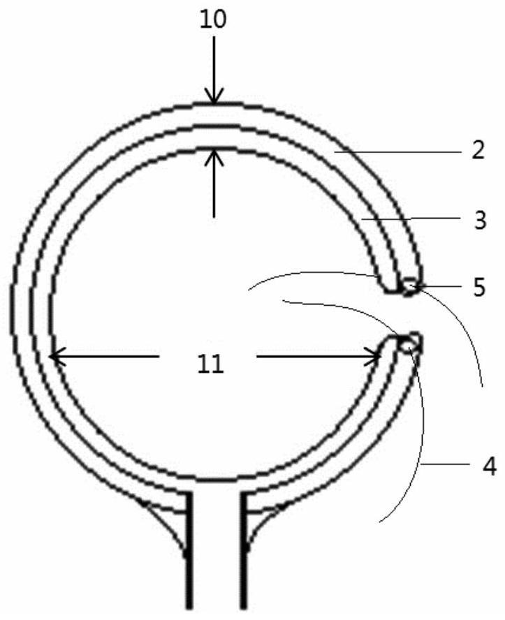 Method and device for constructing optic nerve injury model