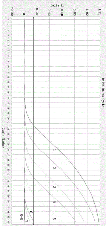 Method for detecting and identifying theba pisana through fluorescent quantitative PCR (polymerase chain reaction)